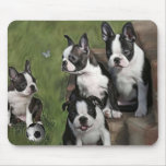 Het Puppy van Boston Terrier muismatten