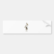 Het Puppy van de brak Bumperstickers