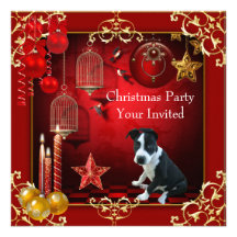Het Puppy van de Hond van Kerstmis van de Partij v