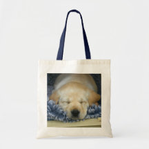 Het Puppy van de slaap Draagtassen