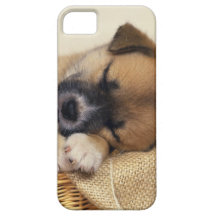 Het Puppy van de slaap iPhone 5 Case-Mate Hoesjes