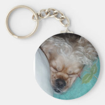 Het Puppy van de slaap Sleutel Hangers
