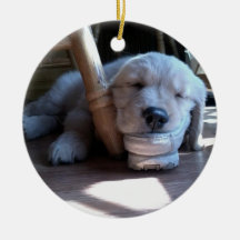Het Puppy van het Golden retriever van de slaap--G Ornamenten
