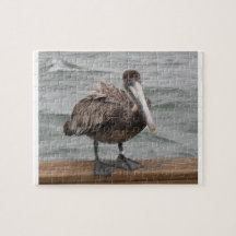 Het Raadsel van de pelikaan Foto Puzzels