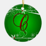 Het rode Groene Ornament van Kerstmis van de Hulst
