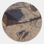 Het roestige Zand van de Woestijn van Blikken Ronde Stickers