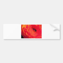 Het rood nam toe bumpersticker