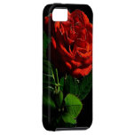 Het rood nam toe iPhone 5 hoesjes