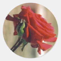 Het rood nam toe sticker
