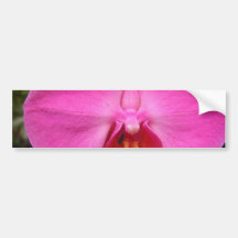 Het Rood van Porchid Bumpersticker