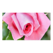 Het roze nam bloem bloemenzaken of profielkaart to visitekaartjes sjabloon