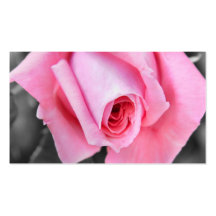 Het roze nam bloem bloemenzaken of profielkaart to visitekaart sjablonen