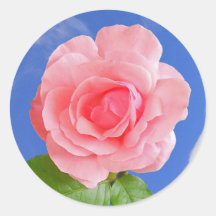 Het roze nam de Sticker van de Bloem toe