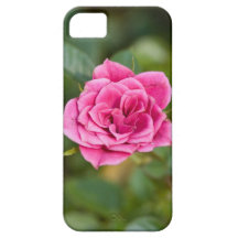 Het roze nam het Geval van iPhone toe iPhone 5 Covers