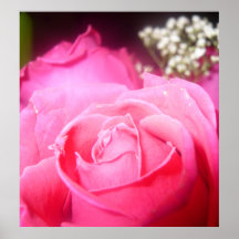Het roze nam Poster toe