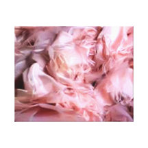 Het roze Textuur Verpakte Art. van het Canvas Stretched Canvas Afdrukken