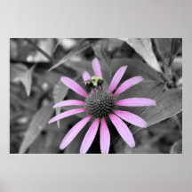 Het Roze van de bij Posters