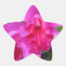 Het roze zegt altijd de 'liefde you van I Ster Sticker