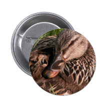 Het rusten buttons
