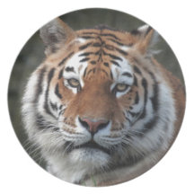 Het Siberische Portret van de Tijger Diner Bord