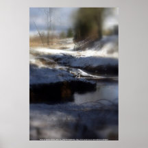 Het sneeuw Bos van Oregon, voskreek 4 Plaat