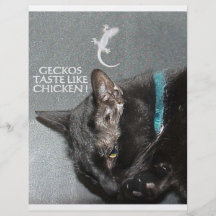 HET SNELLE VOEDSEL VAN HET KAT FOLDERS