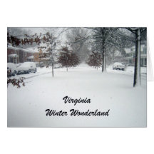 Het Sprookjesland van de Winter van Virginia Kaarten