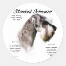 Het standaard Ontwerp van de Geschiedenis Schnauze Stickers