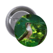 Het stellen speldbutton