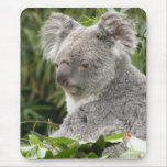 Het Stootkussen van de Muis van de koala Muis Mat
