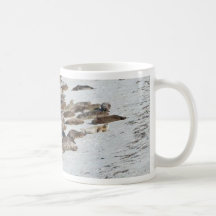 Het Strand van het Zand van verbindingen Koffie Mokken