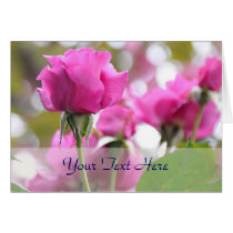 Het stuitende Roze nam de Kaart van de Schoonheid  kaarten
