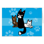 Het Trio van de kat Wenskaarten