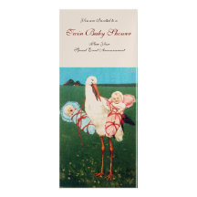 Het TWEELINGBABY SHOWER van de OOIEVAAR, champagne Persoonlijke Aankondiging