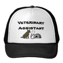 Het veterinaire HulpPet van de Bal
