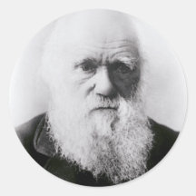 Het Vignet van Charles Darwin Ronde Sticker
