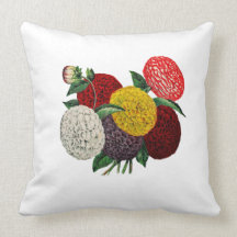 Het vintage hoofdkussen van plakboekZinnia