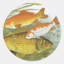 Het vintage Mariene Leven van het Zee, de Aquatisc Ronde Stickers