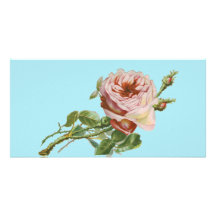 Het vintage Roze nam op Bleke Aqua toe Persoonlijke Fotokaart