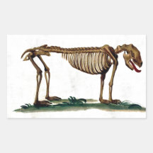 Het vintage Skelet van de Hond Stickers