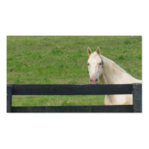 Het visitekaartje van het paard