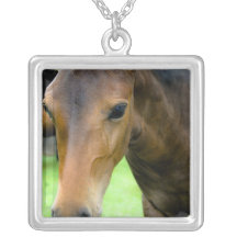 Het volbloed- Ketting van Selecties