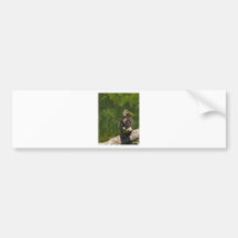 Het Vrouw van de wilde eend Bumpersticker