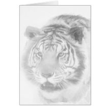 Het Wenskaart van de Tekening van de tijger