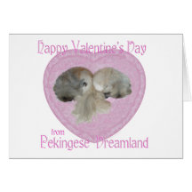 Het Wenskaart van de Valentijnskaart van de pekine