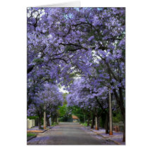 Het Wenskaart van Jacarandas