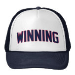 Het winnen mesh pet