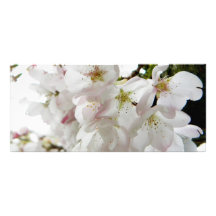 Het Wit van Sakura Persoonlijke Reclamekaart