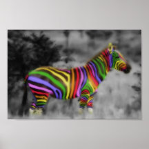 Het Zebra van de regenboog Plaat