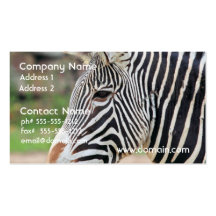 Het Zebra van Grevy Visitekaartje